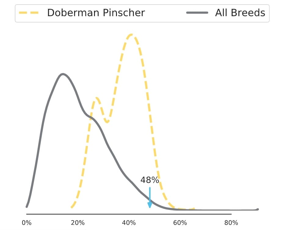 Coefficient of Inbreeding (COI) graph for the Doberman Pinscher.