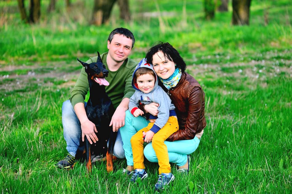 A Happy Doberman Family