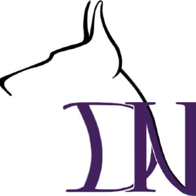 Dobrman Network Magazine logo.