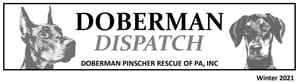 Doberman Dispatch Newsletter Header Image