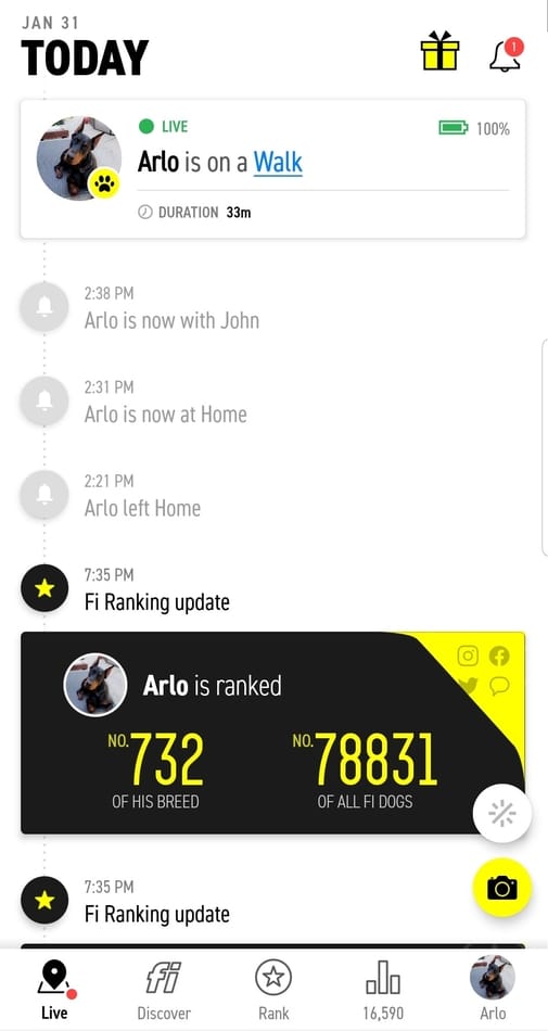 Fi Smart Collar app feed screenshot.
