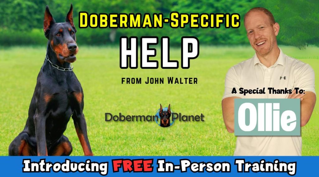 Free Doberman Training