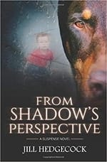 A picture of the cover of the book "From Shadow's Perspective."