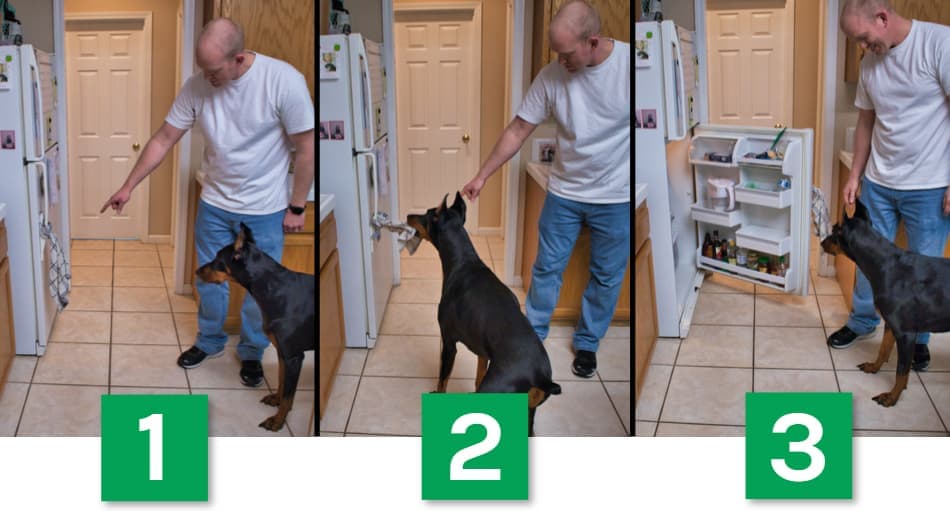 Open the Refrigerator