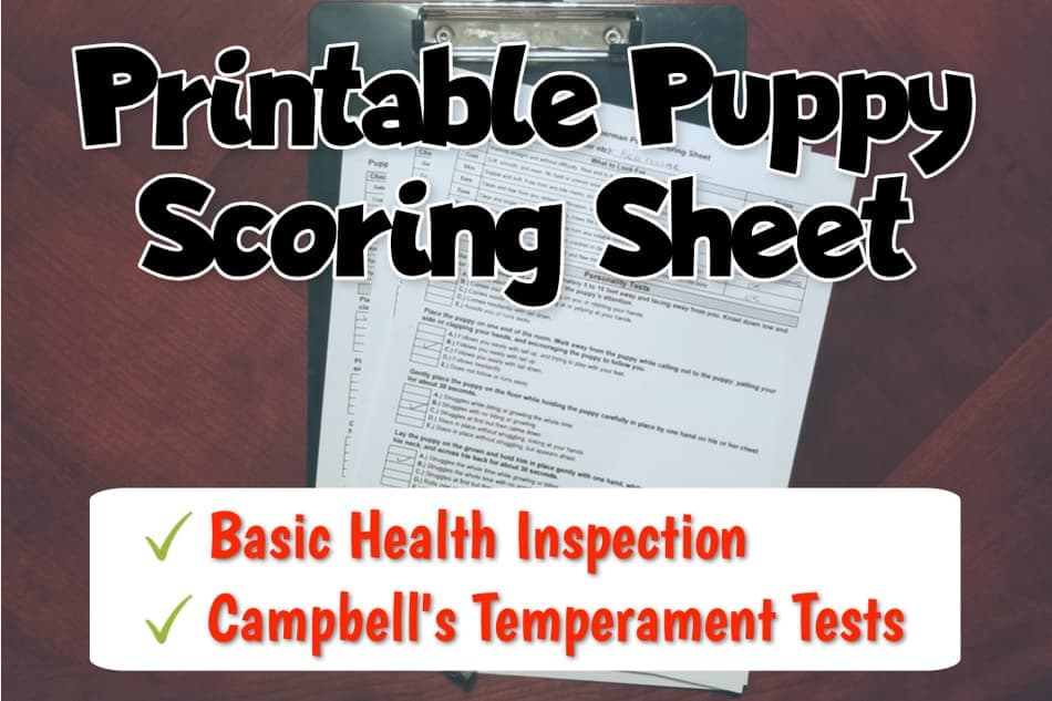 Printable Puppy Personality and Temperament Tests (Campbell's Test)