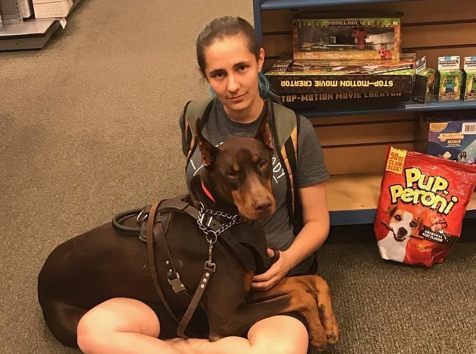 A Doberman service dog caring for it's owner.
